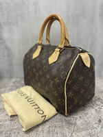 For Your Everyday Errand: Louis Vuitton Monogram Speedy 25