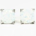 Eye-catching 10KT White Gold Opal Earrings