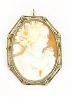  Embodiment of Grandeur: 14K Two-Tone Cameo Brooch/Pendant
